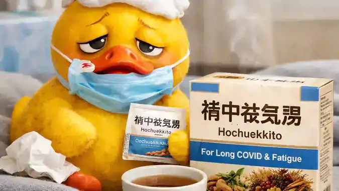 Editorial preview illustration for an evidence-based article about Hochuekkito, Long COVID, and ME/CFS